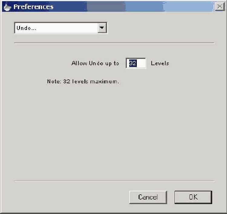 Диалоговое окно Undo Preferences
